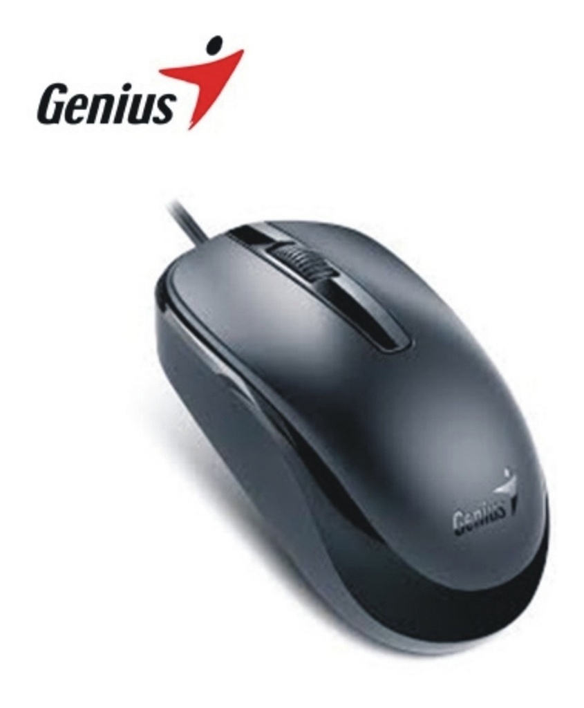 MOUSE GENIUS DX-120 USB NEGRO